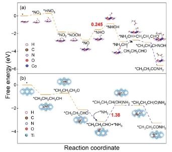 大连理工「国家杰青」陆安慧团队，最新JACS！