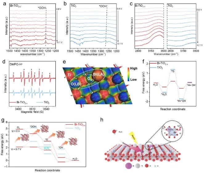 华东理工大学李春忠团队，最新AFM！