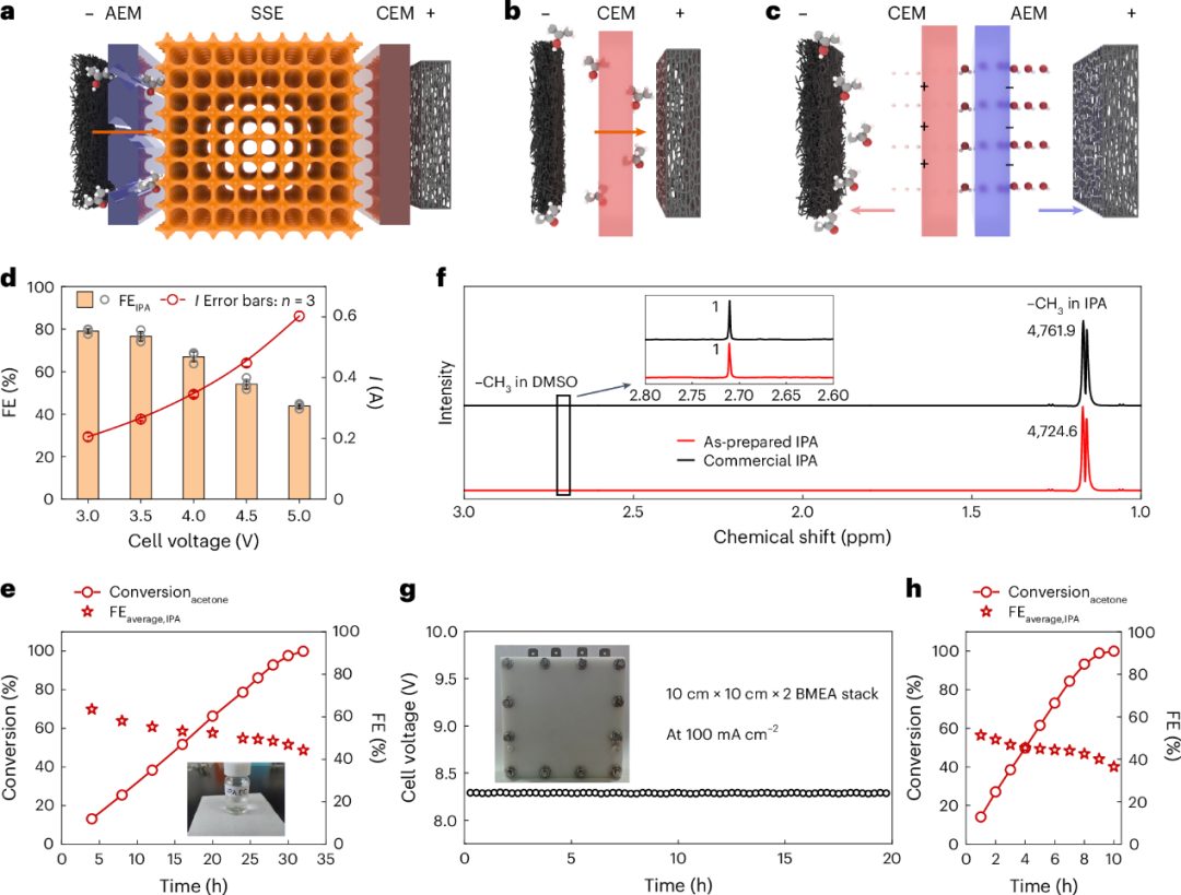 转化率~100%！电子科大夏川/中科大曾杰，最新Nature大子刊！