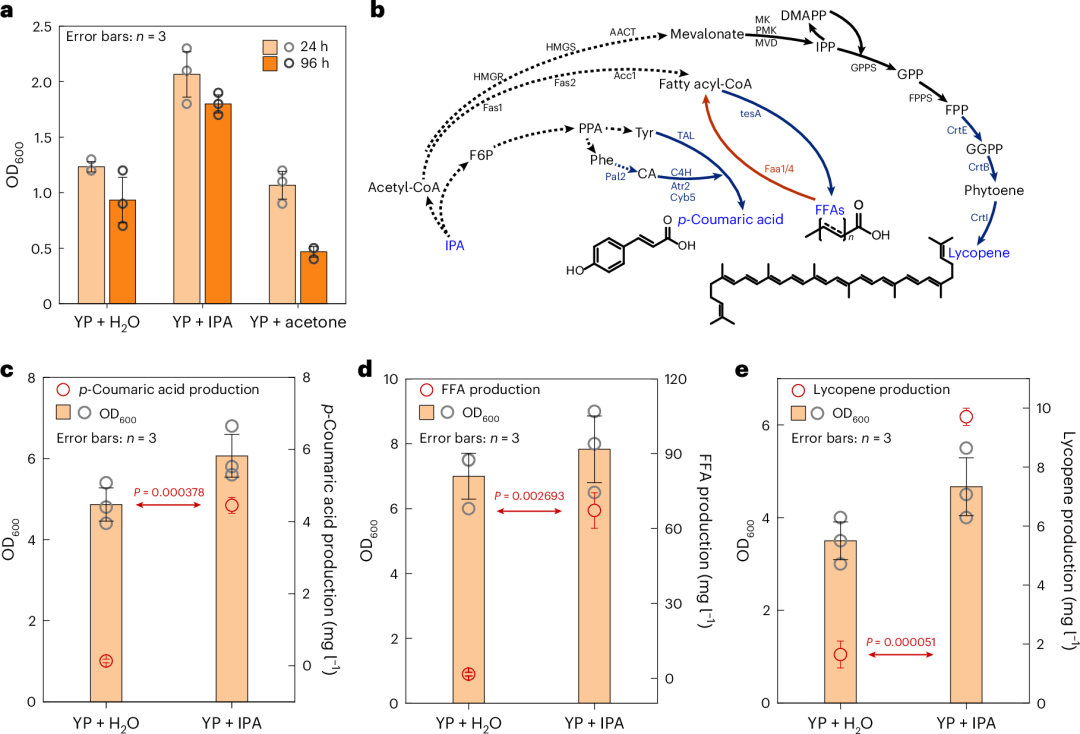 转化率~100%！电子科大夏川/中科大曾杰，最新Nature大子刊！