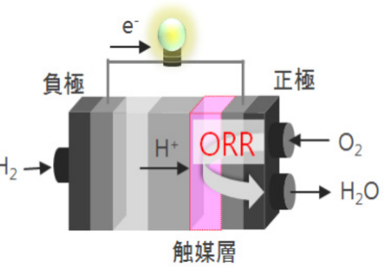 OER 与 ORR 催化性能对比及优化策略：从活性中心设计到反应路径调控
