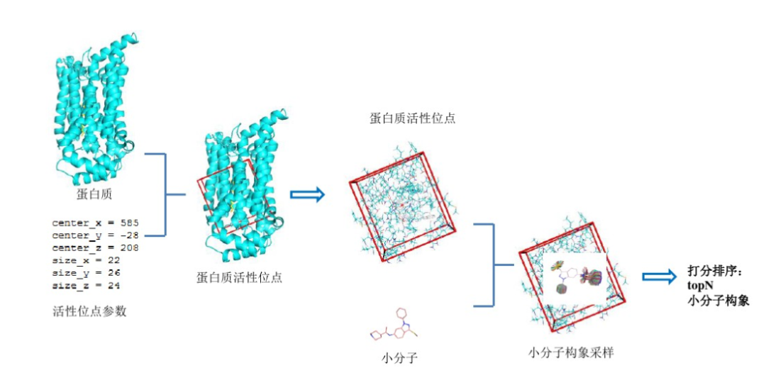 揭秘！分子对接为何成为科研热点，一文带你读懂