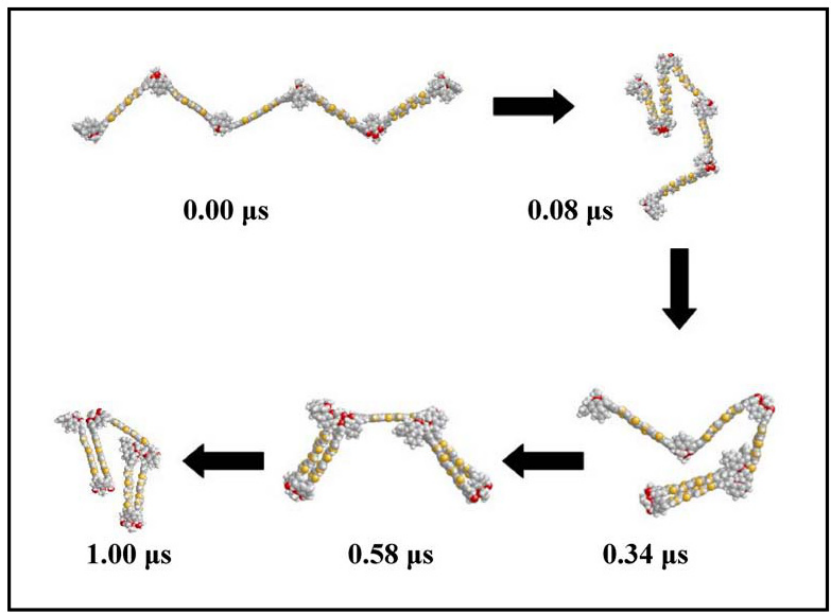 分子动力学模拟（Molecular Dynamics, MD）