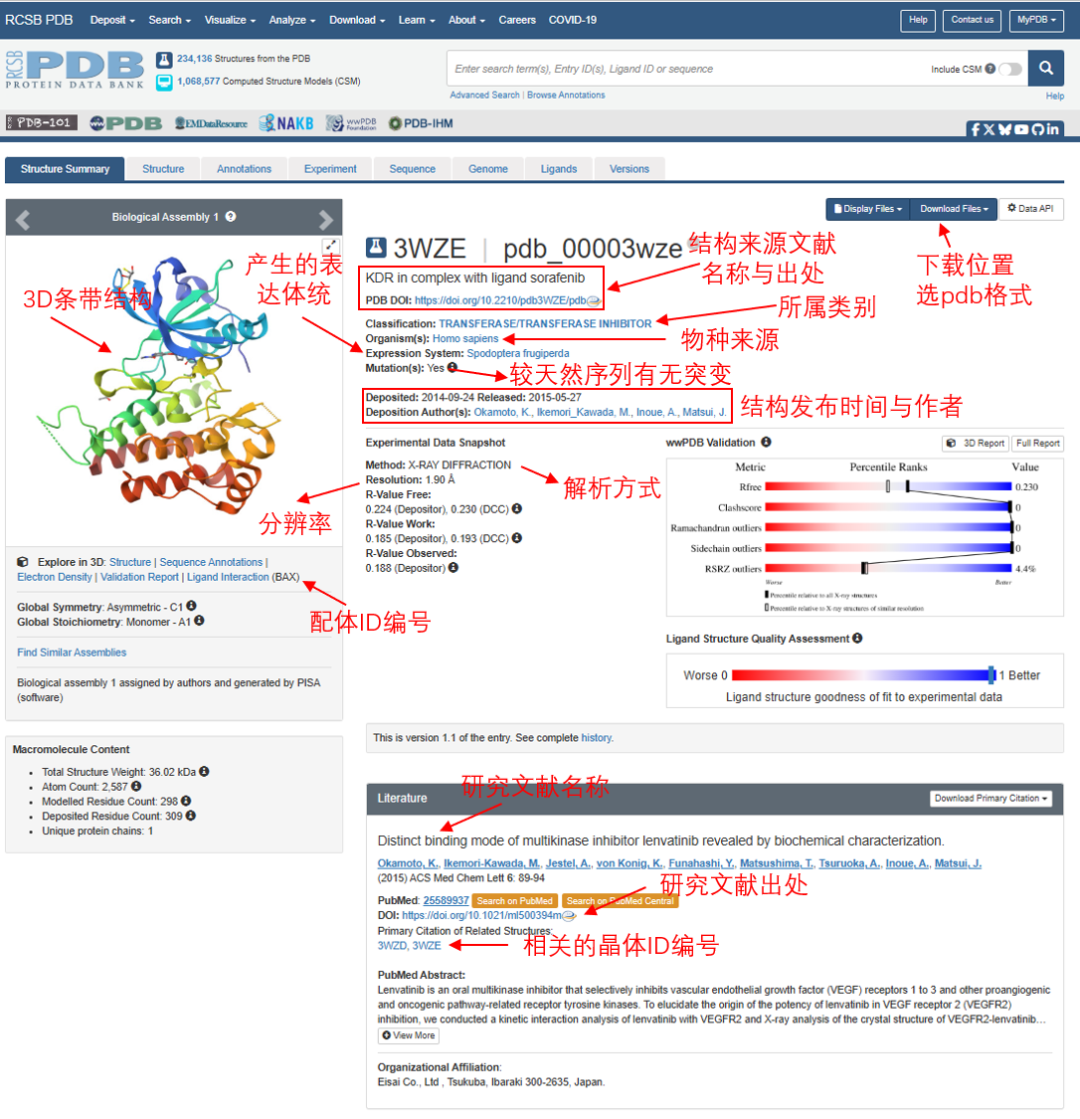 分子对接蛋白晶体的获取--PDB、UniProt数据库的使用