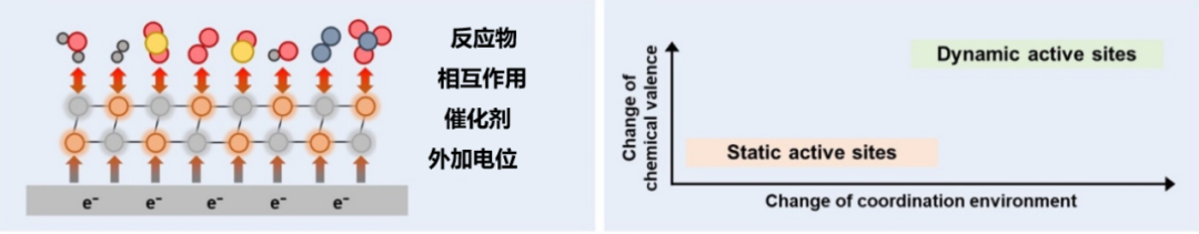 什么是动态活性位点？