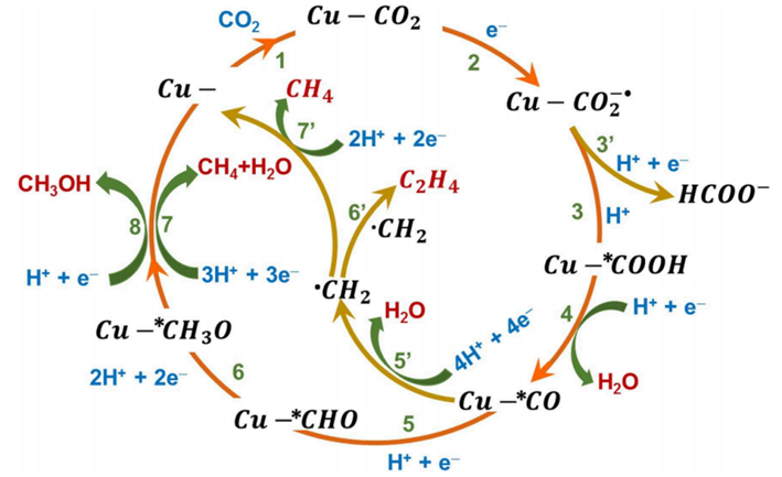 华算科技王牌讲师强强联合！MS+VASP催化计算：LDH+MXene催化OER+CO2RR+PMS，吉布斯自由能，电子性质等！