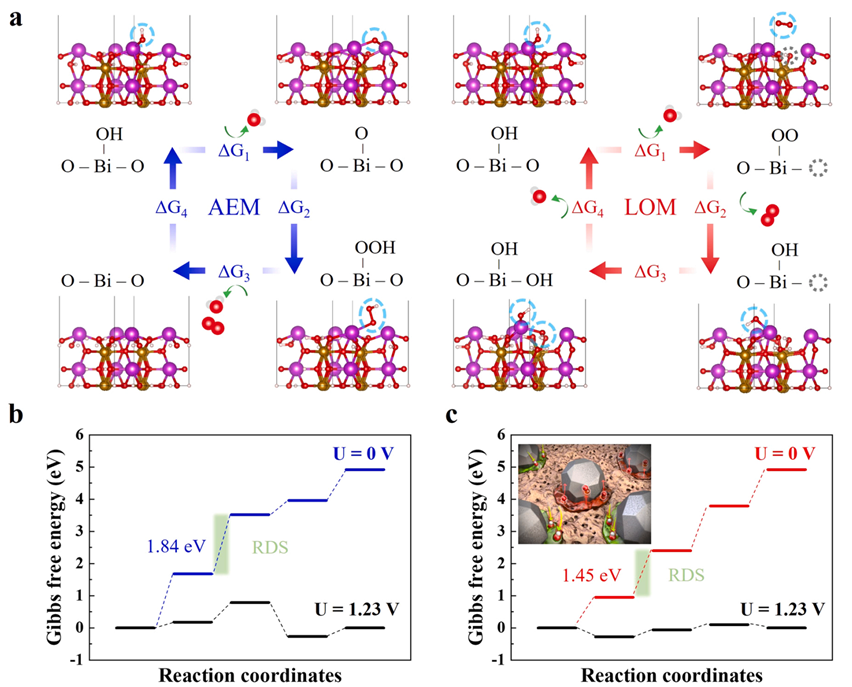 华算科技王牌讲师强强联合！MS+VASP催化计算：LDH+MXene催化OER+CO2RR+PMS，吉布斯自由能，电子性质等！