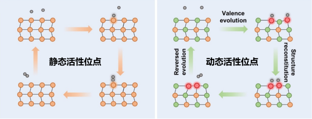 什么是动态活性位点？