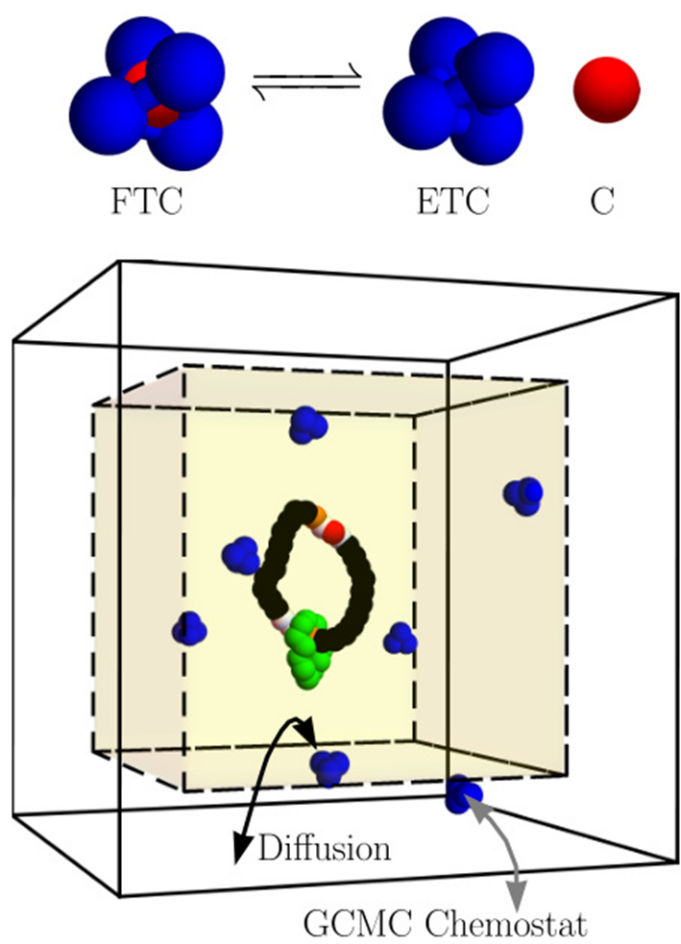 分子动力学模拟（Molecular Dynamics, MD）