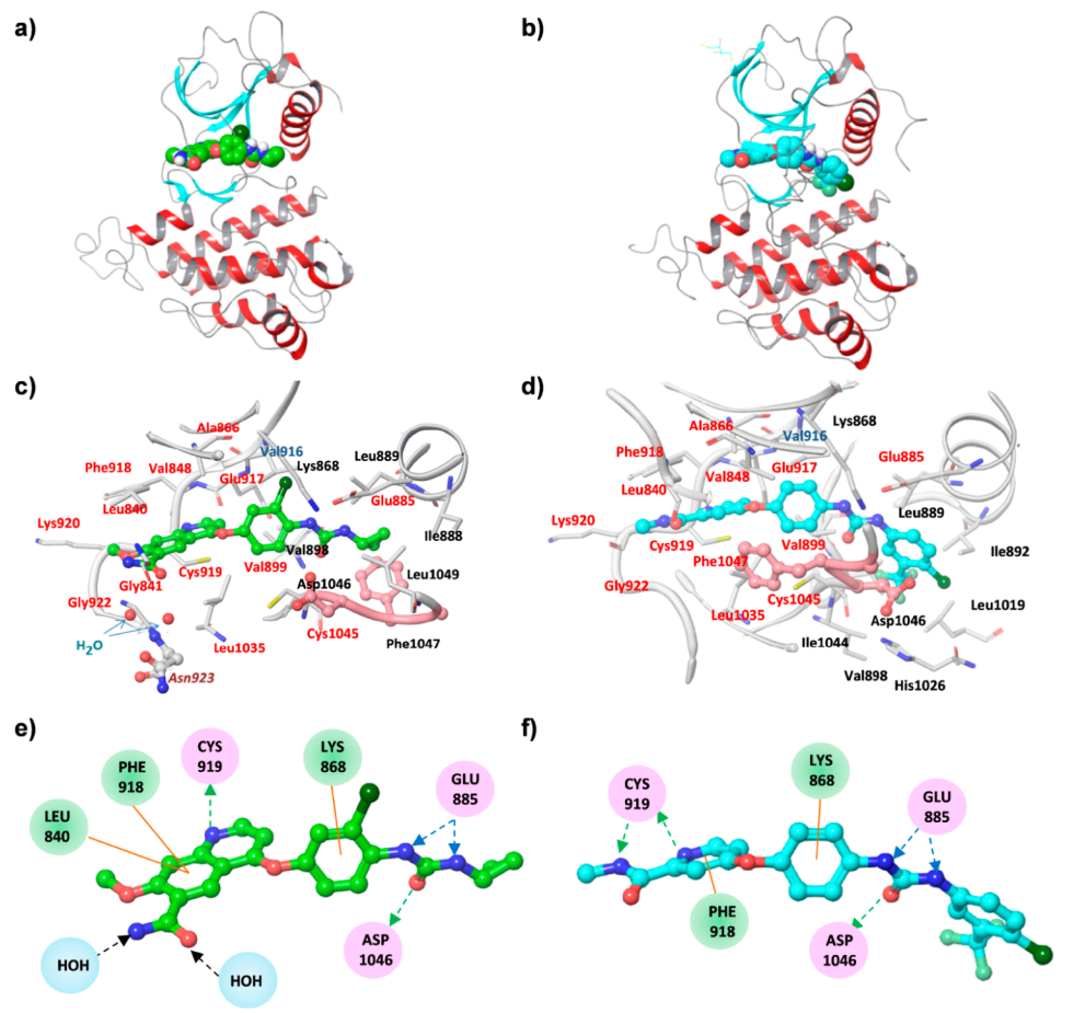 分子对接蛋白晶体的获取--PDB、UniProt数据库的使用