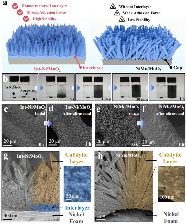 6000 h！西湖大学孙立成院士，最新Nature子刊！