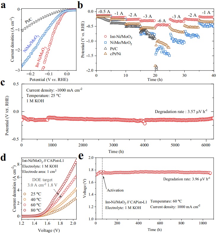 6000 h！西湖大学孙立成院士，最新Nature子刊！
