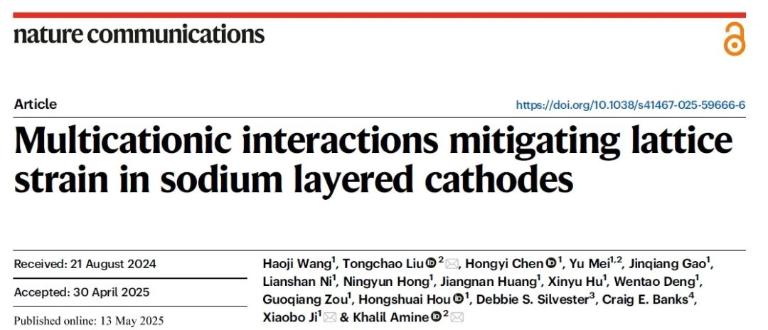 院士领衔！中南大学纪效波/阿贡刘同超，最新Nature子刊！