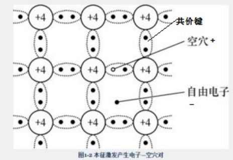 什么是价带和导带？