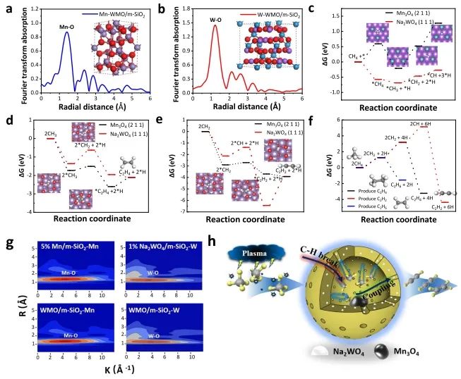 昆明理工大学，最新Nature子刊！