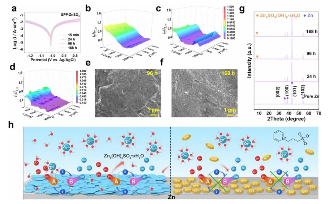 20000次循环仍保持138.9 mA h g⁻¹！深圳先进院/内大新发EES！