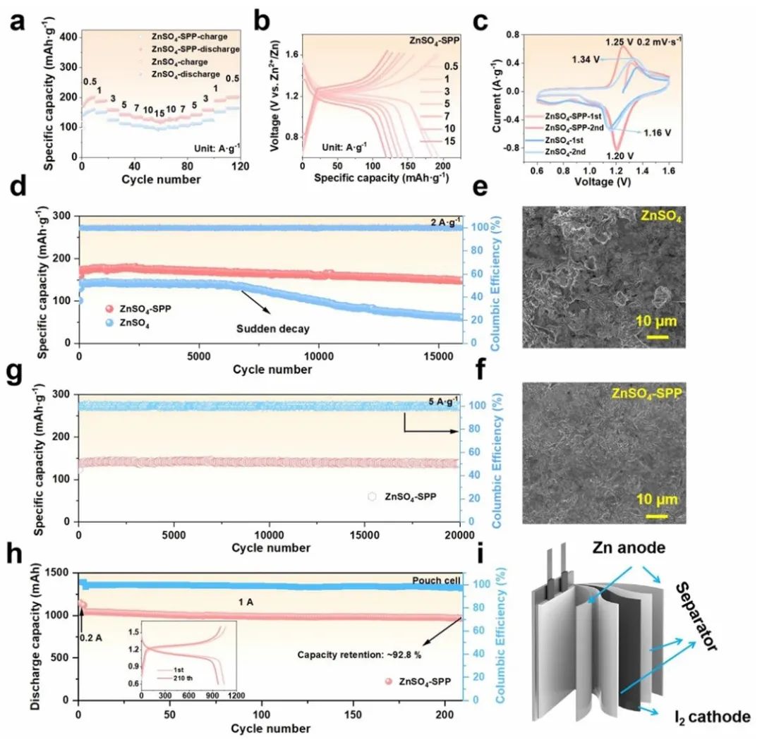 20000次循环仍保持138.9 mA h g⁻¹！深圳先进院/内大新发EES！