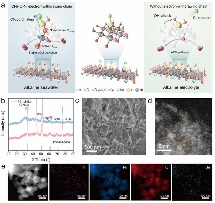 北化孙晓明/周道金&港大刘彬&清华深研院邝允，最新JACS ！