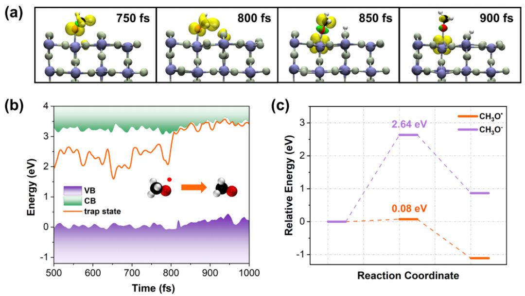 增加3个数量级！复旦大学褚维斌，新发JACS！