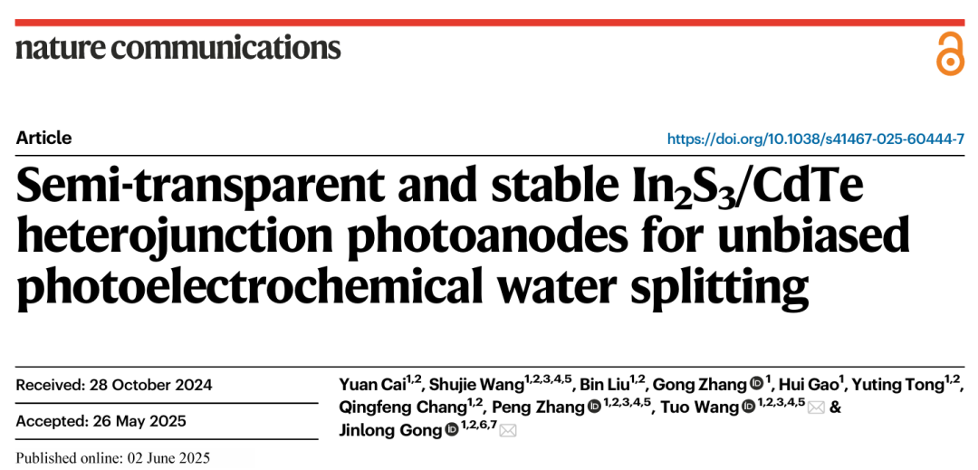 天津大学巩金龙/王拓，最新Nature子刊！