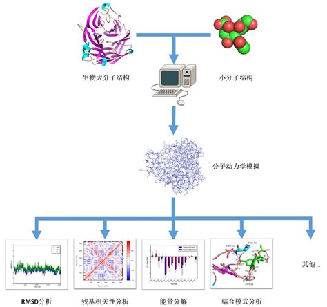 什么是高通量筛选？