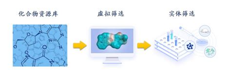 什么是高通量筛选？
