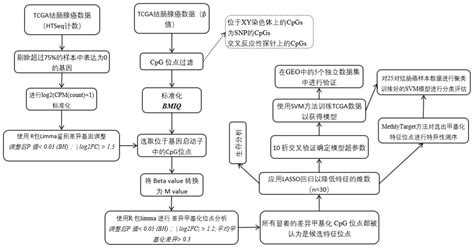 什么是高通量筛选？