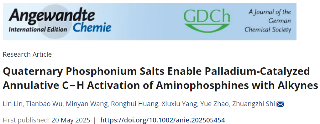 开创性体系！南京大学，最新Angew！