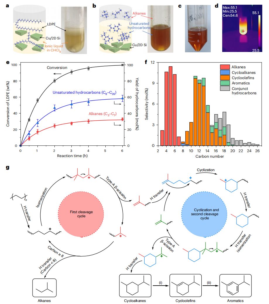 浙江大学孙威/杨德仁院士，重磅Nature Catalysis！