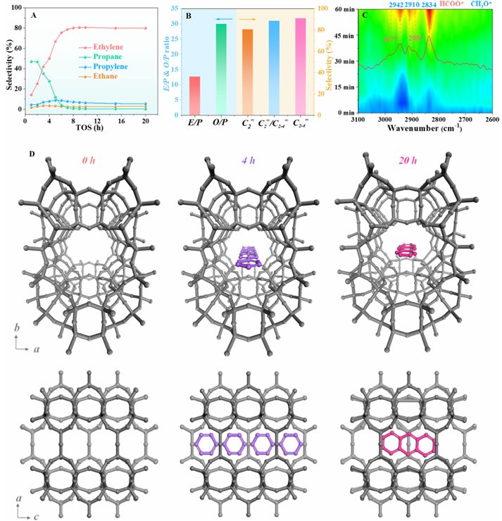 5倍提升！华东师大吴鹏/关业军/徐浩&川大王岩最新JACS！