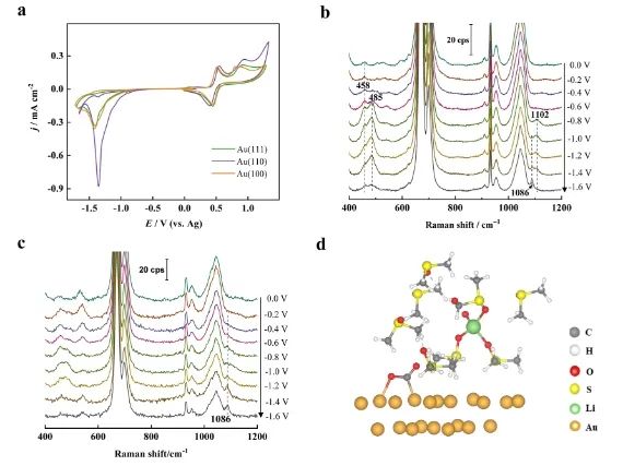 厦门大学，发表JACS！