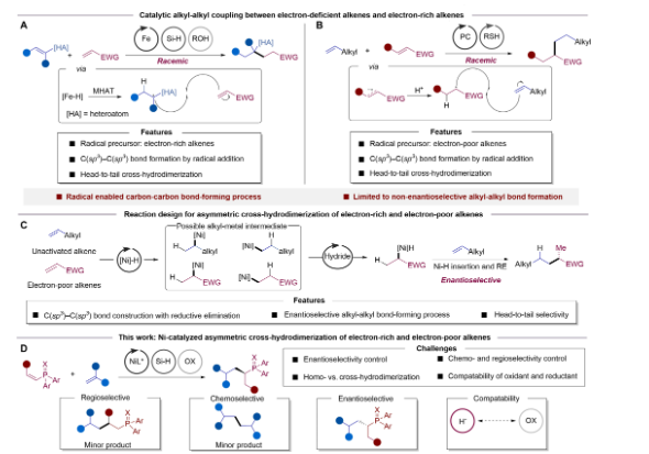南方科技大学舒伟， 最新Science子刊！