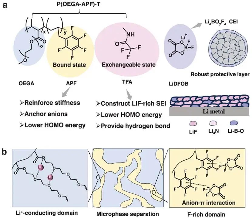 耐5V固态电解质！北大庞全全，新发AFM：双重氟化分子设计助力聚醚固态电解质用于具有强化学活性的5.0 V锂金属电池