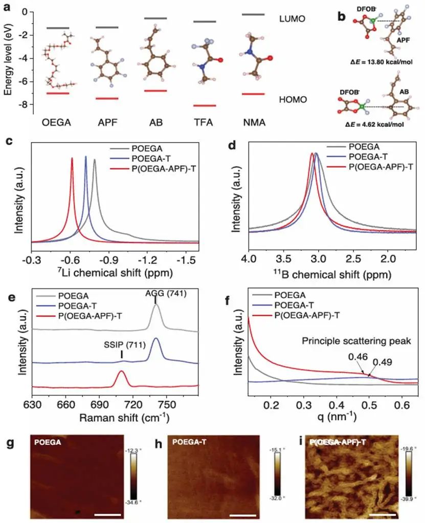 耐5V固态电解质！北大庞全全，新发AFM：双重氟化分子设计助力聚醚固态电解质用于具有强化学活性的5.0 V锂金属电池