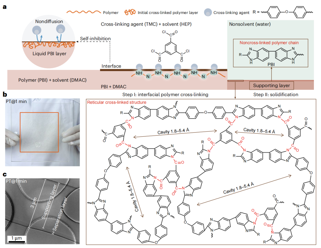 提升至300 mA/cm2！他，大连化物所副所长/「国家杰青」，发表首篇Nature Chemical Engineering！
