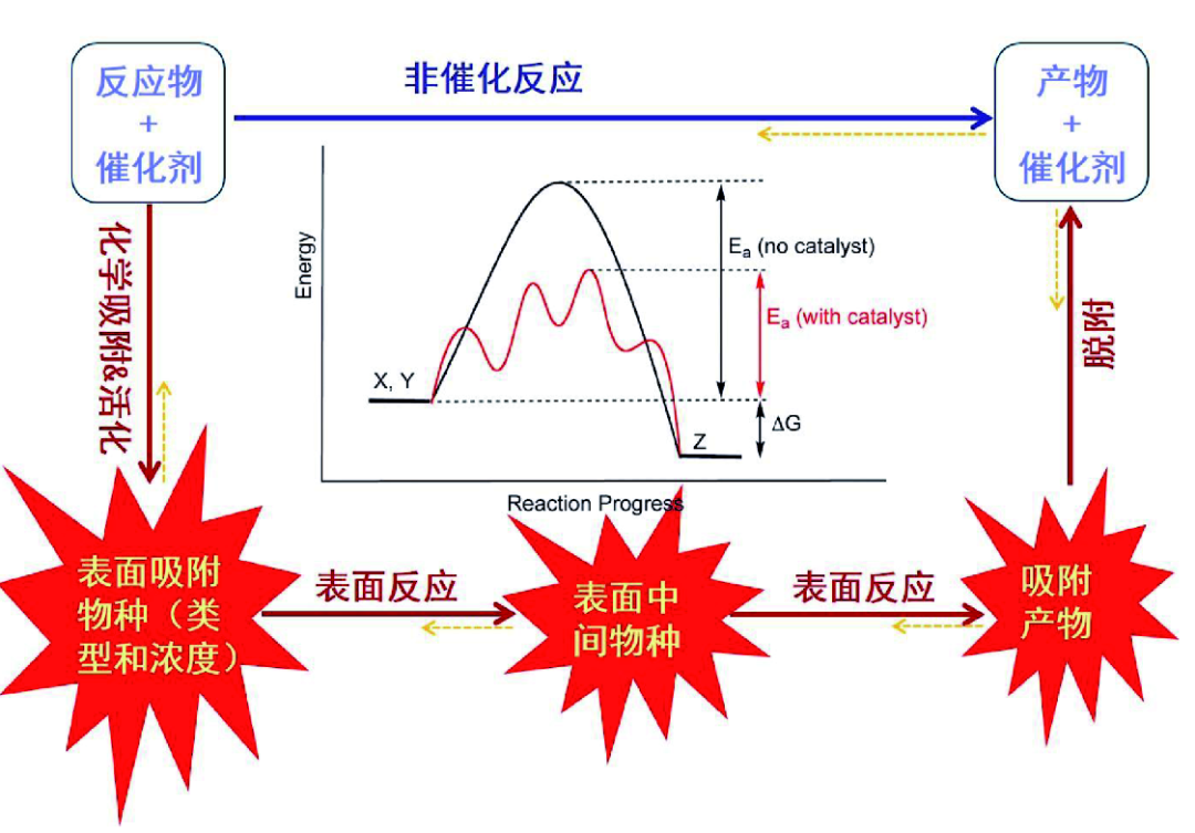解耦与协同：理解催化中热力学平衡与动力学速率的钥匙​