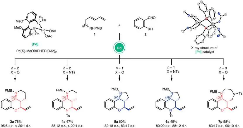 改写规则！中科大「国家杰青」黄汉民，最新Nature Chemistry!