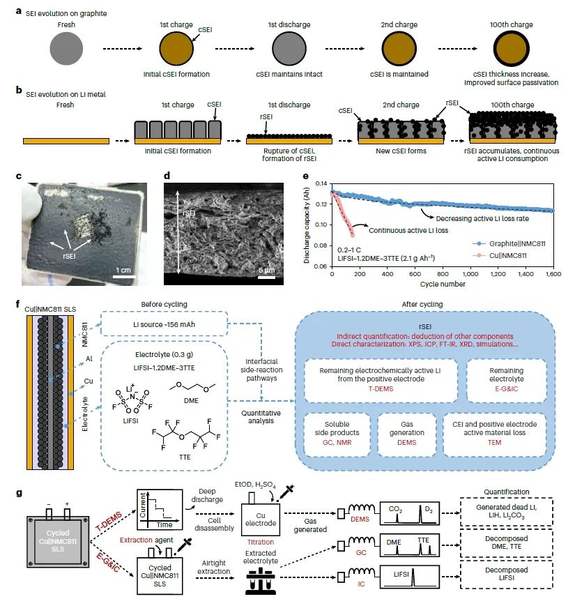 江西师范大学/宁德时代21C创新实验室欧阳楚英，重磅Nature Nanotech.！