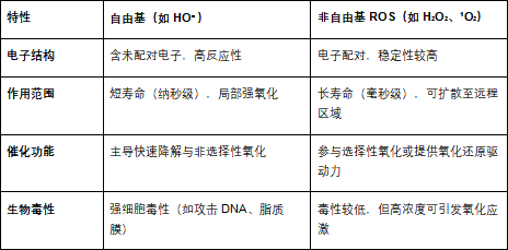 活性氧和自由基有什么关系？