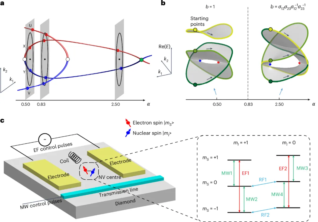 博士生王云汉一作！中国科学技术大学杜江峰院士，重磅Nature Nanotech.！
