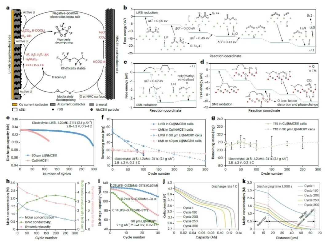 江西师范大学/宁德时代21C创新实验室欧阳楚英，重磅Nature Nanotech.！