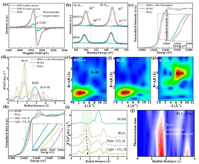 重庆大学ACS Nano：光控铋钼酸盐的动态重建，助力太阳能驱动CO2还原
