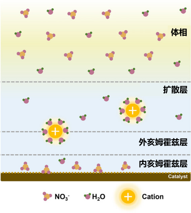 如何表征电催化硝酸盐电催化还原NO3RR？
