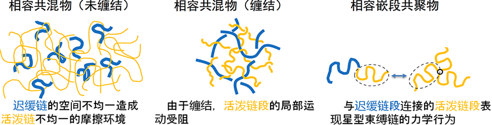 什么是玻璃化转变温度（Tg）？