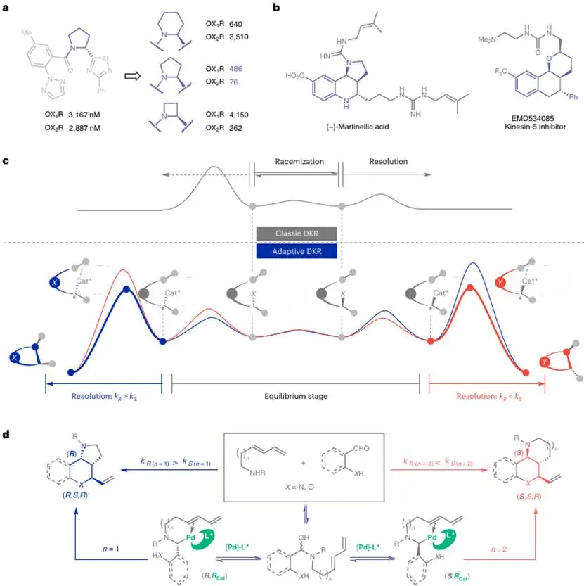 改写规则！中科大「国家杰青」黄汉民，最新Nature Chemistry!