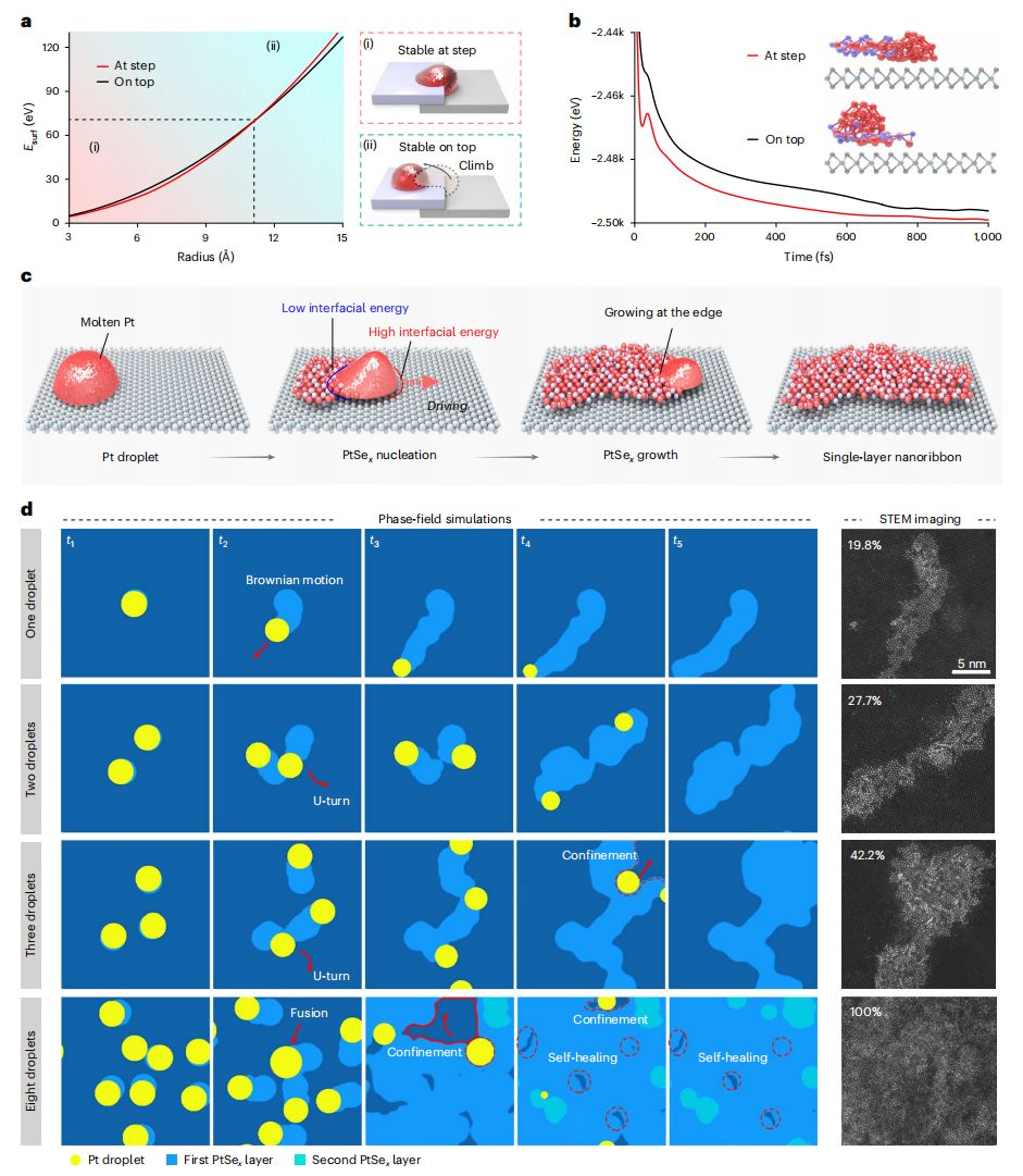 厚度仅仅1 nm！湖南大学/南京航空航天大学，重磅Nature Materials！