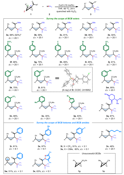 湖南大学冯见君Nature子刊：铜催化助力环丁烷膦化-多取代结构的精准构建