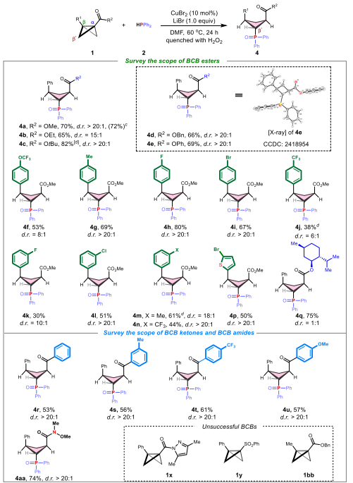 湖南大学冯见君Nature子刊：铜催化助力环丁烷膦化-多取代结构的精准构建