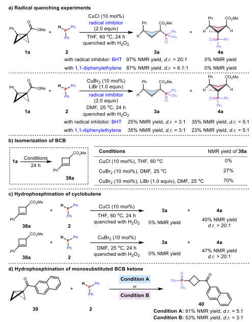 湖南大学冯见君Nature子刊：铜催化助力环丁烷膦化-多取代结构的精准构建