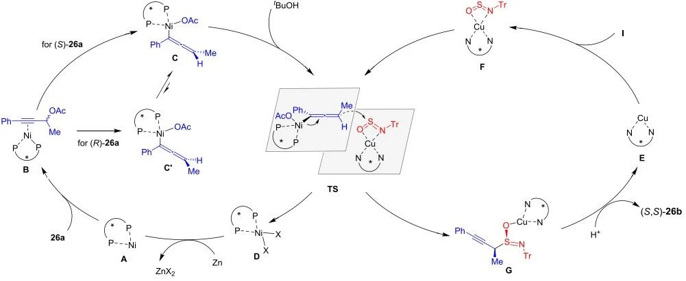 南大「国家杰青」史壮志最新JACS：协同双金属催化的选择性还原炔丙基亚砜酰胺化！